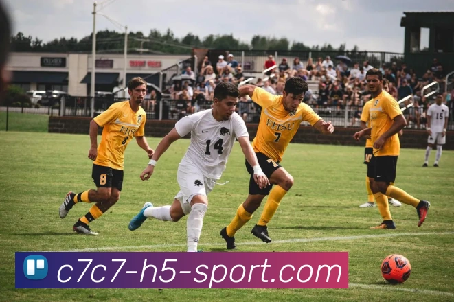 C7C7娱乐品牌故事